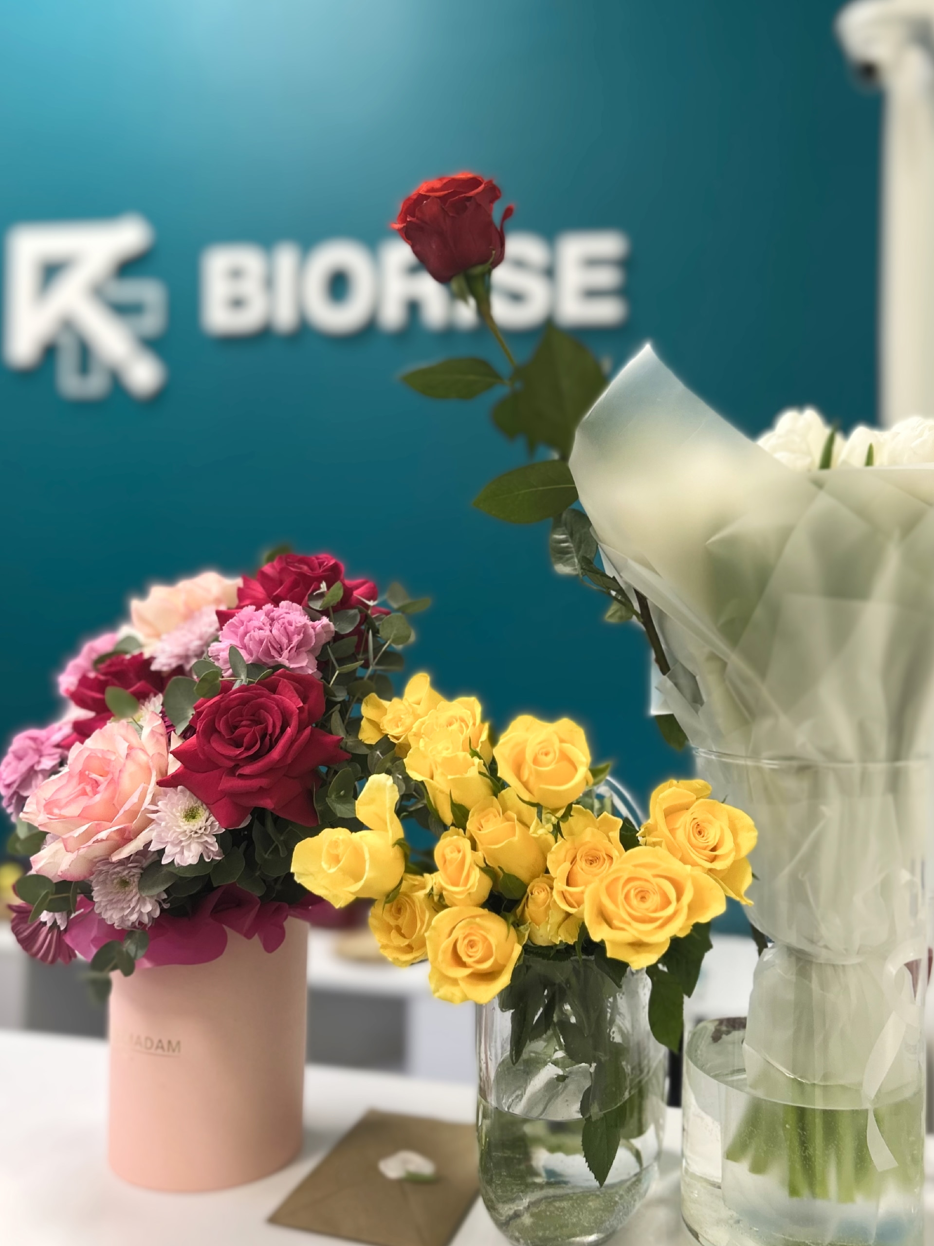 Галерея партнёра