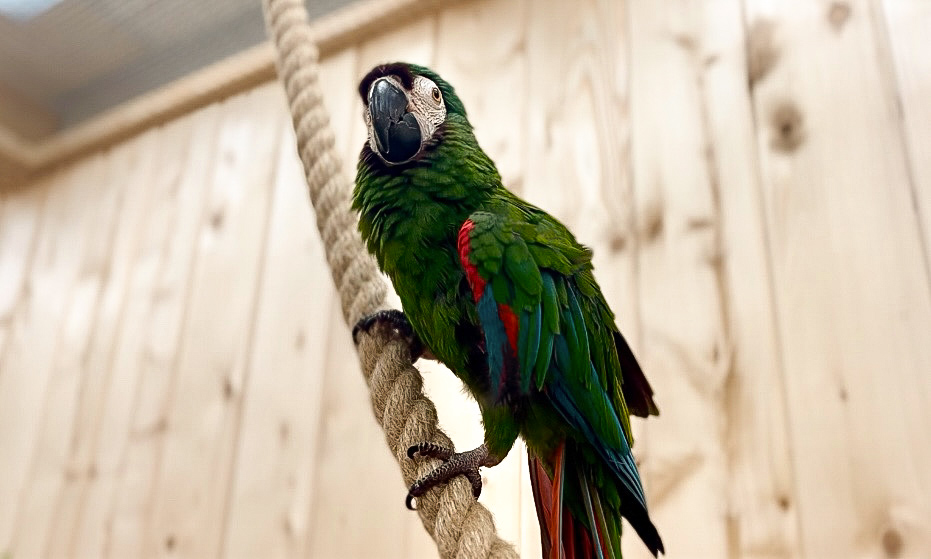 Галерея партнёра