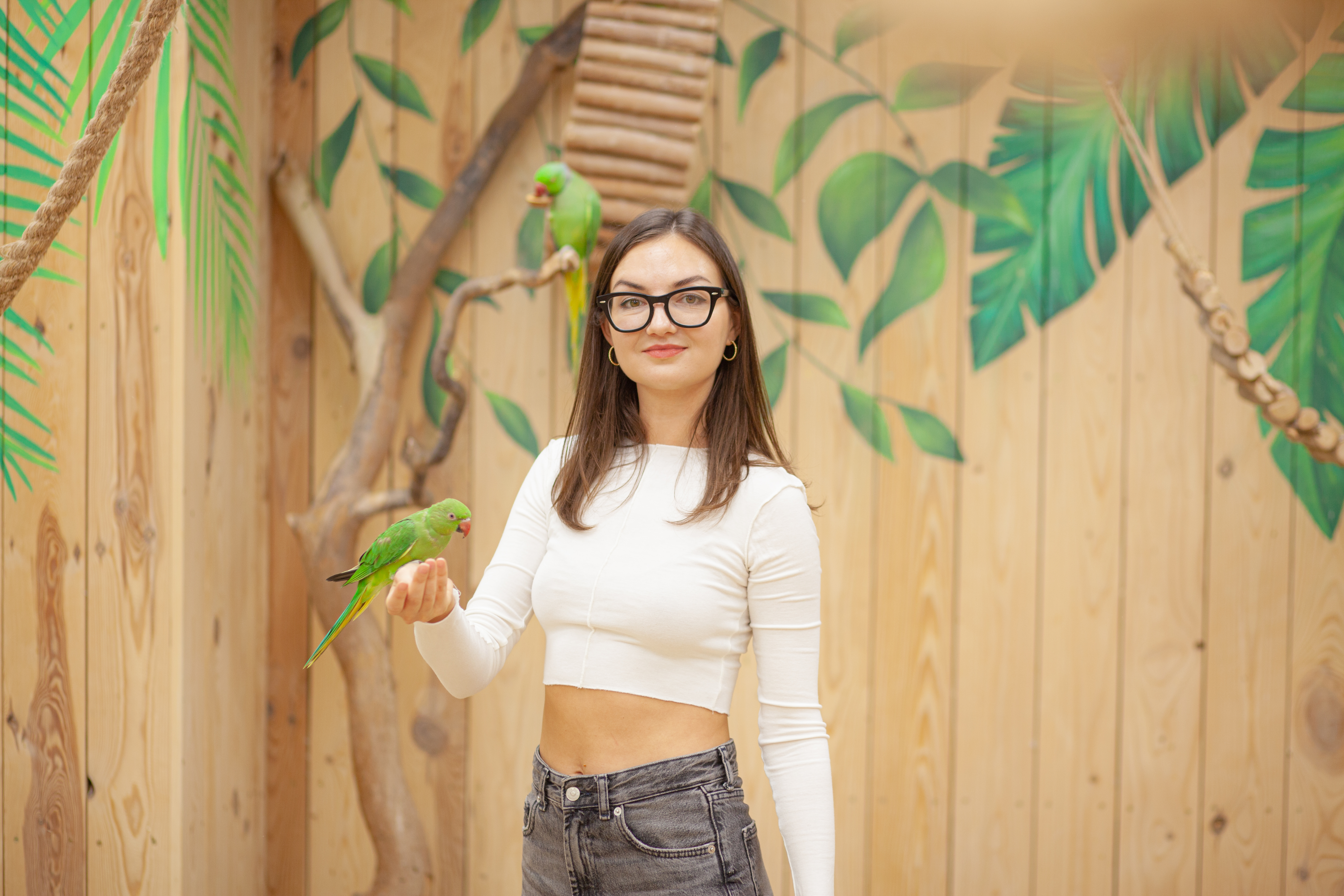 Галерея партнёра