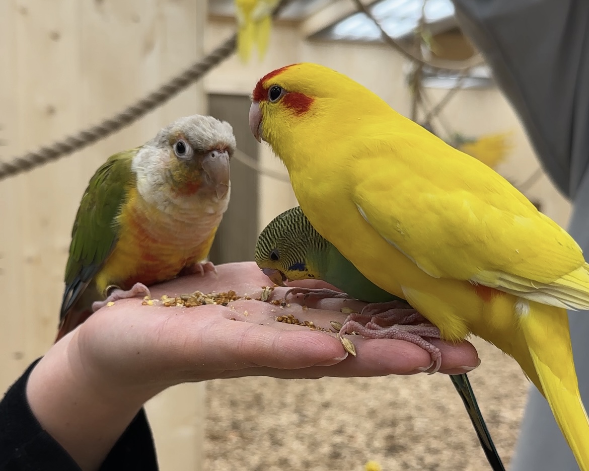 Галерея партнёра