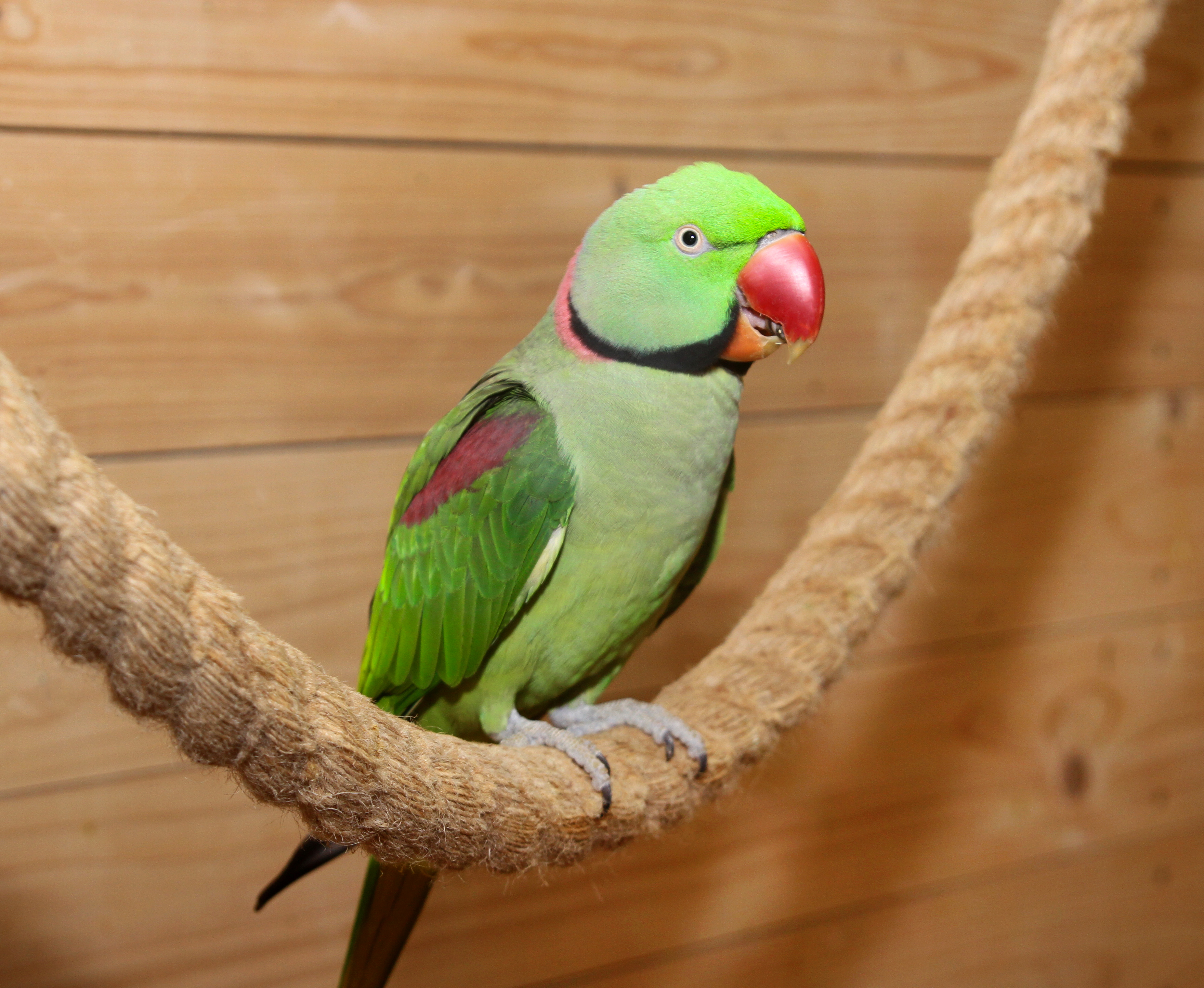 Галерея партнёра