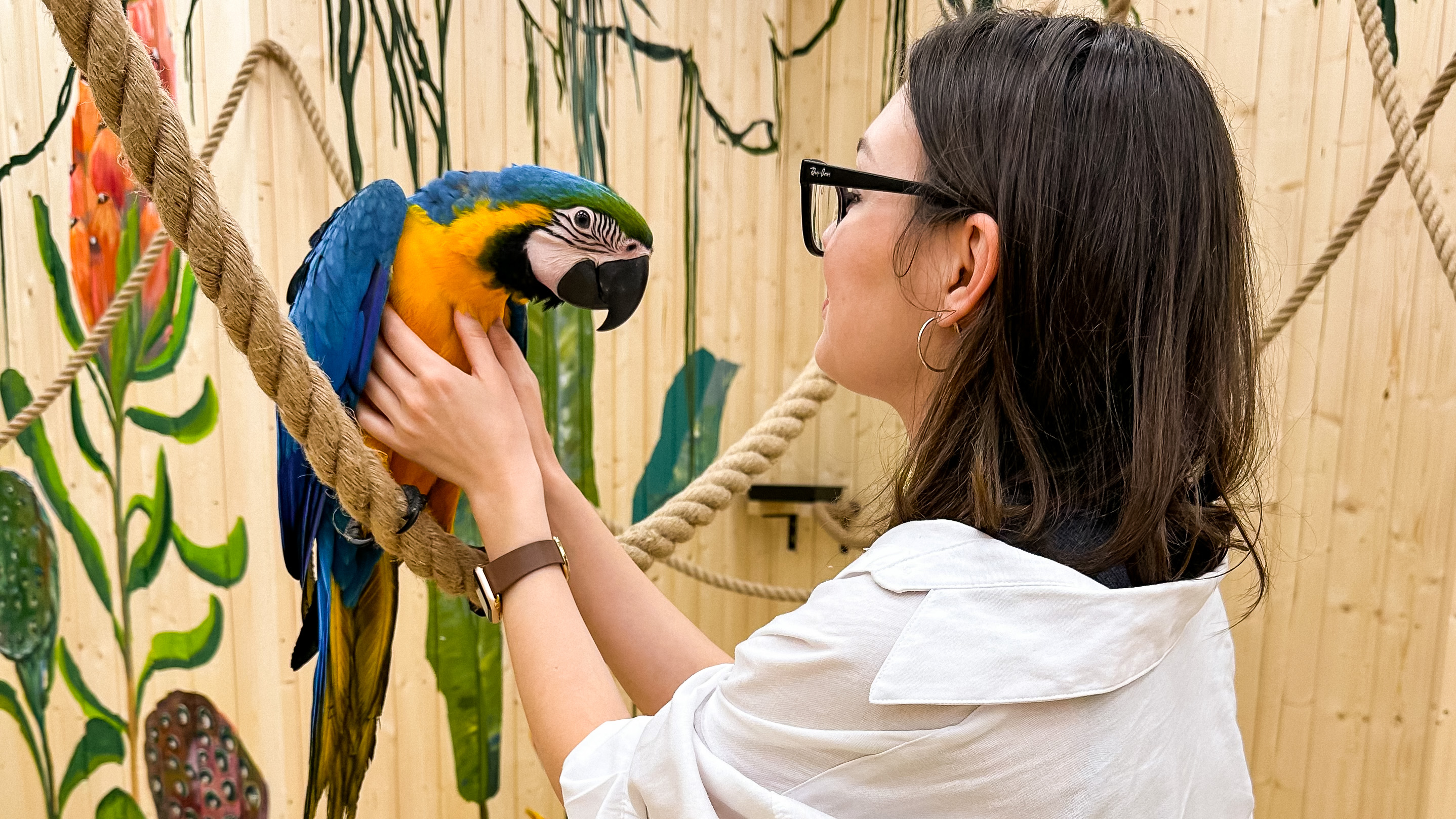 Галерея партнёра