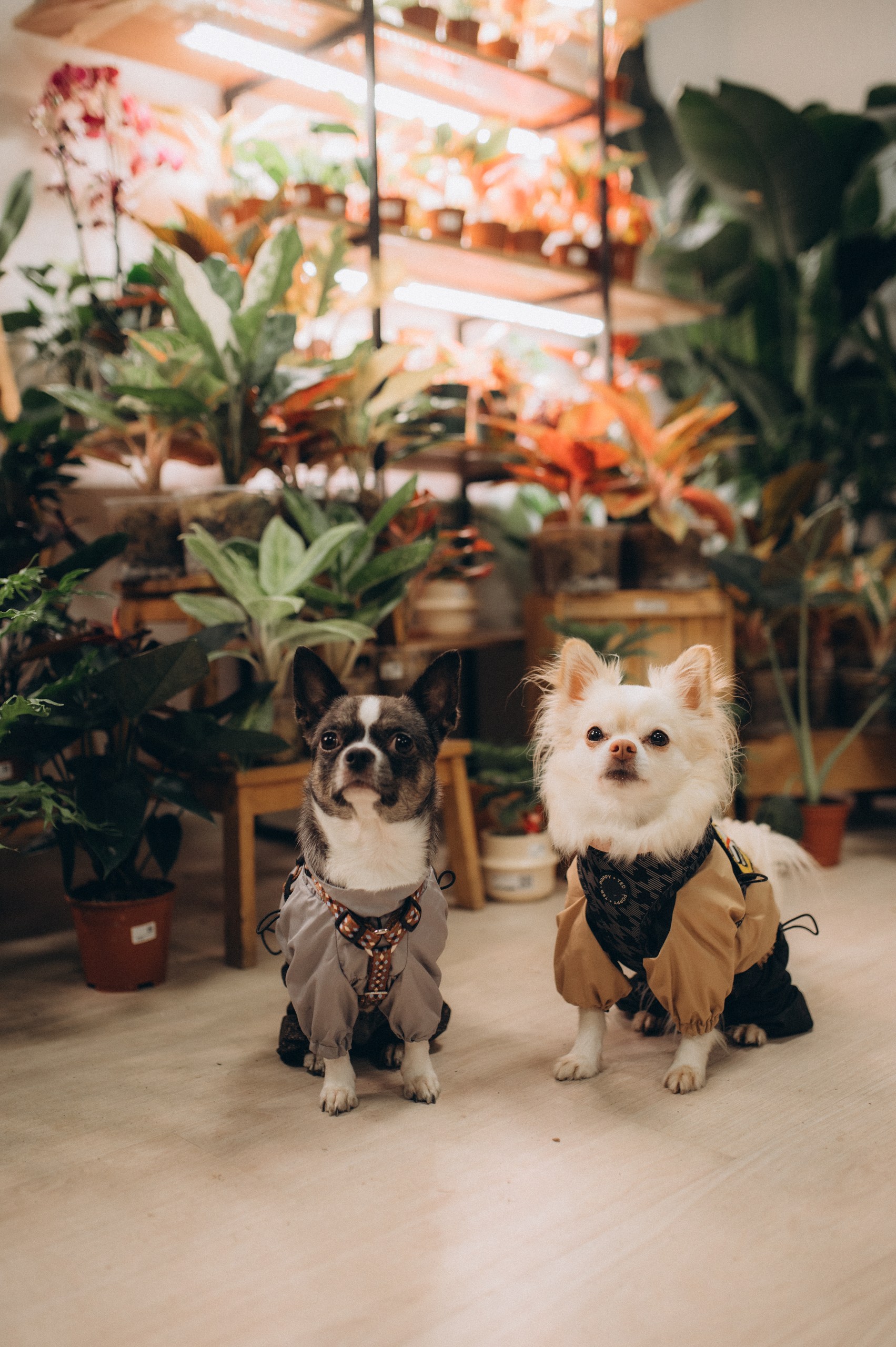 Галерея партнёра