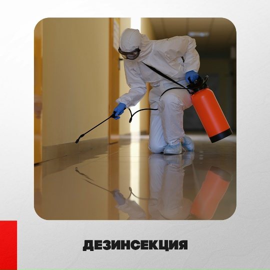 Галерея партнёра