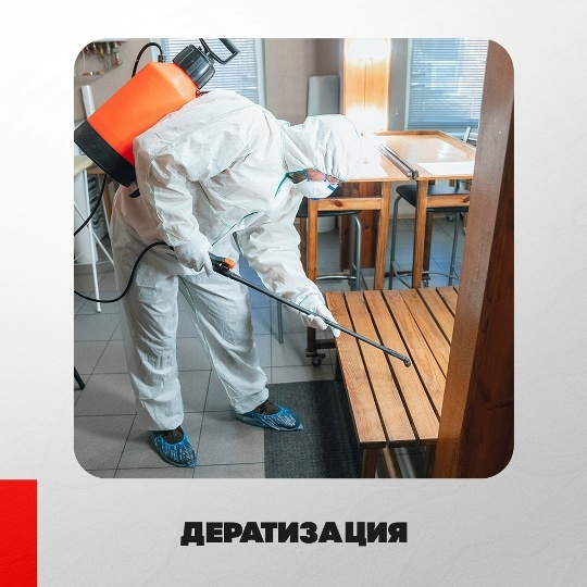 Галерея партнёра