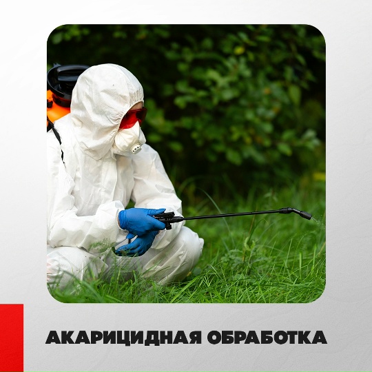 Галерея партнёра