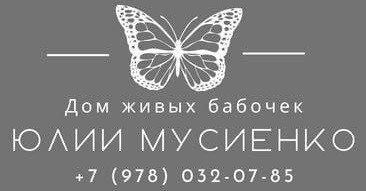 Дом живых бабочек Юлии Мусиенко